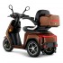 Elektrinis triratis E-GO S3 rudas